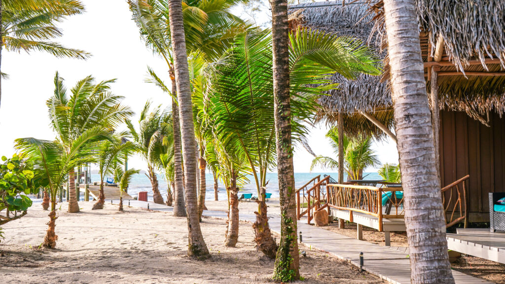 belize-landscape-with-palm-trees-overlooking-caribbean-sea-at-maya-beach-placencia