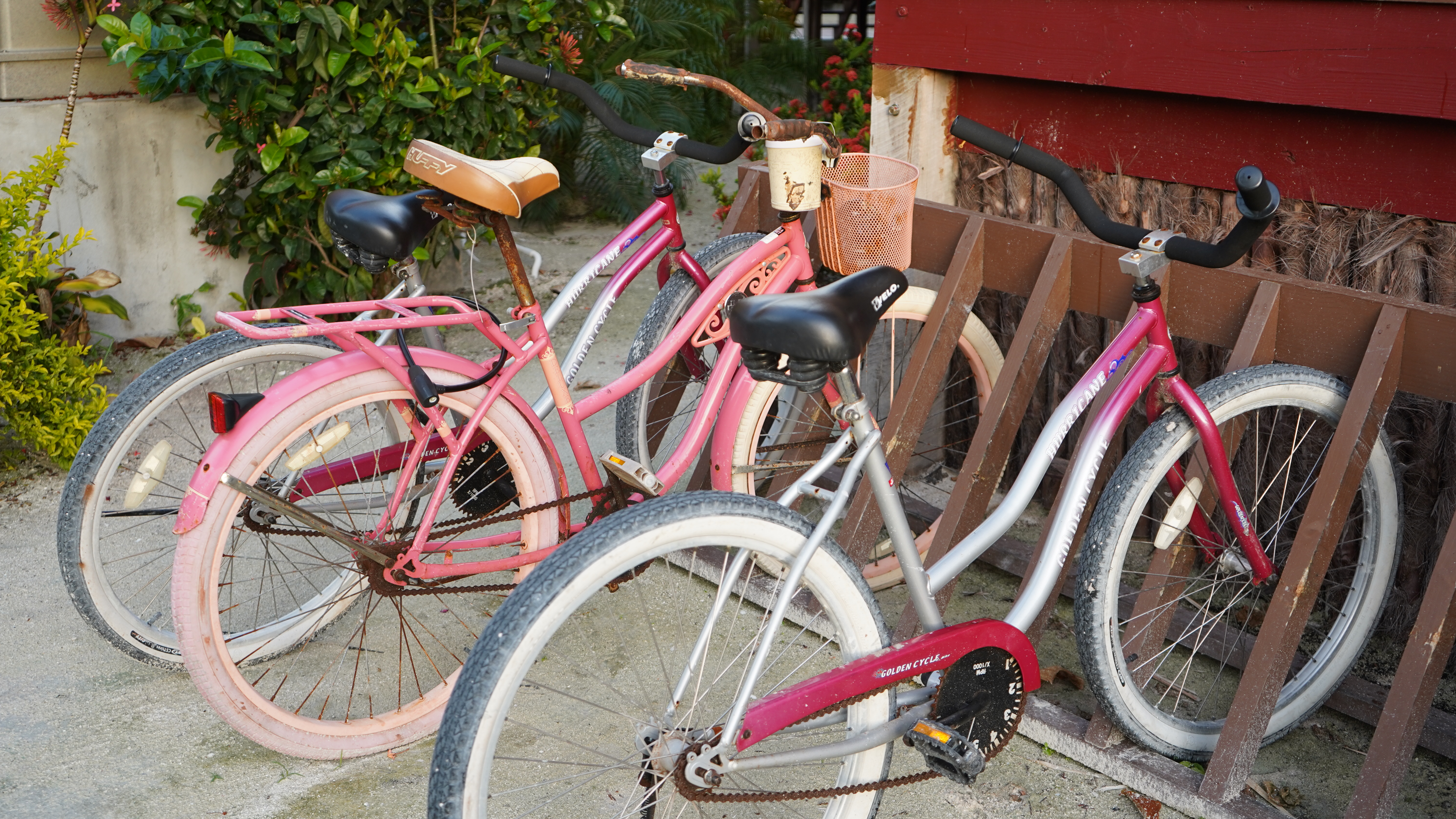 pink-bikes-lined-up-outside-el-ben-cabana-resort-on-caye-caulker-belize