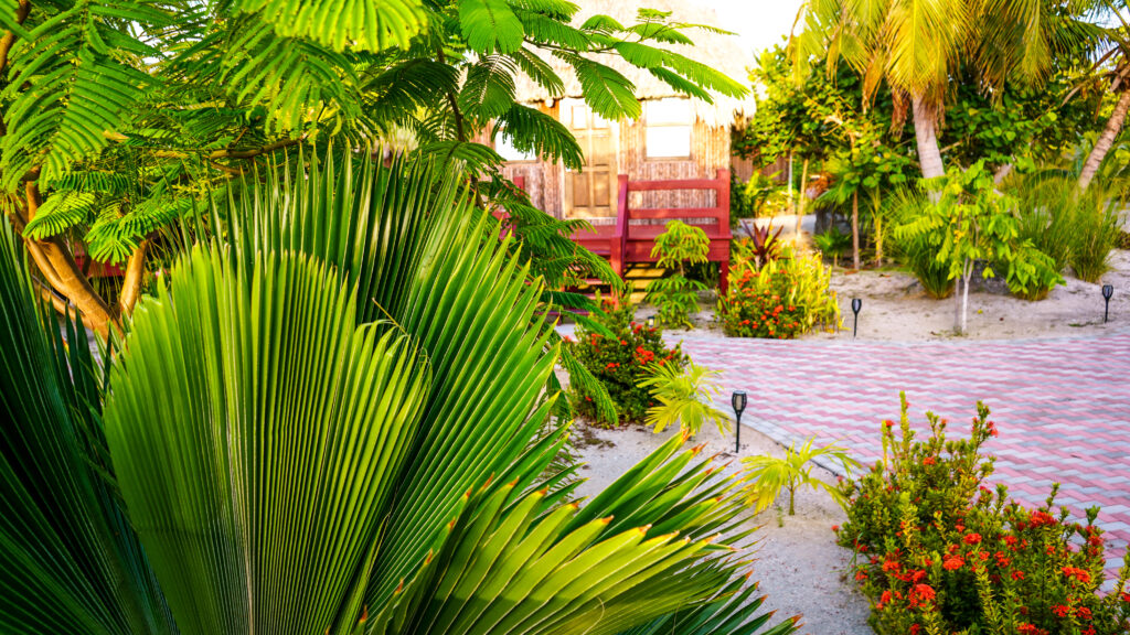beautiful-palms-in-front-of-belize-resort-el-ben-cabanas