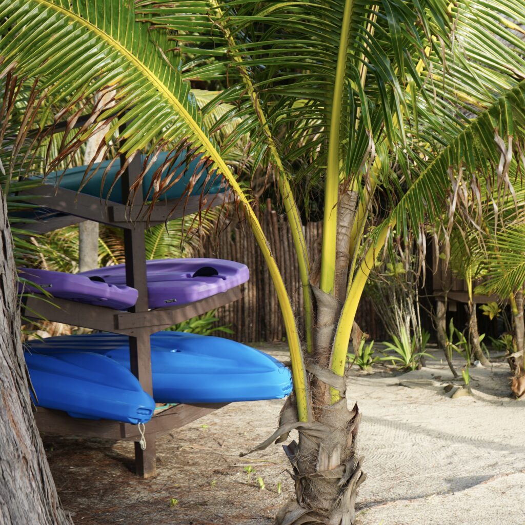 blue-and-purple-kayaks-amongst-palm-trees-at-azure-del-mar