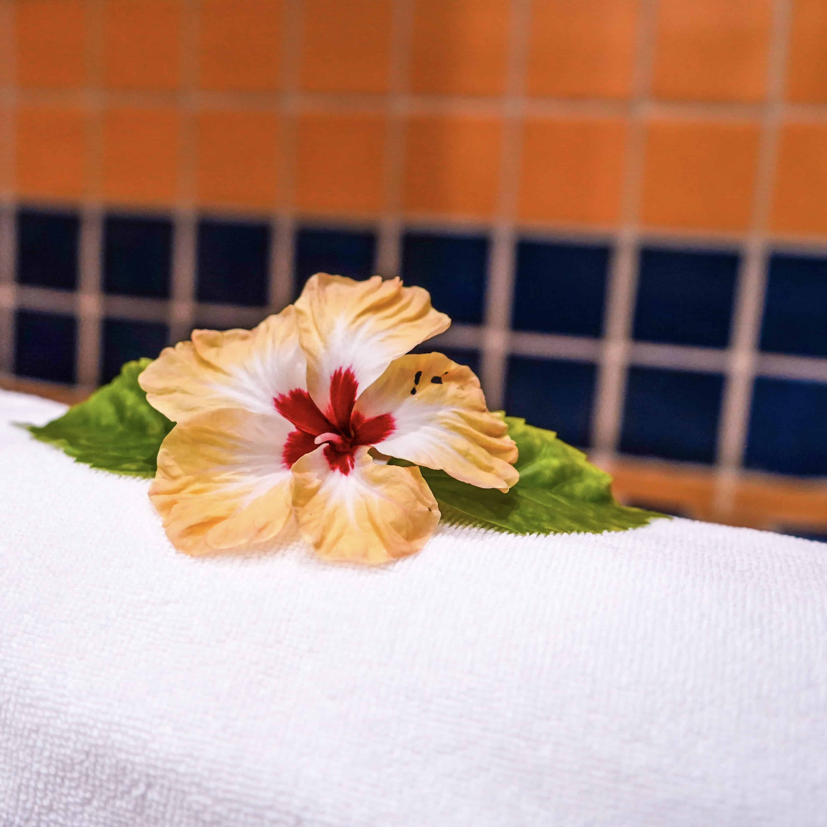 hibiscus-flower-on-towel-at-azure-del-mar