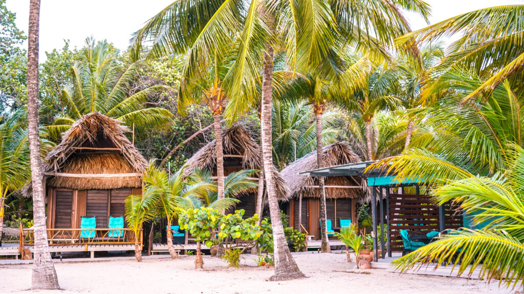 placencia-belize-beachfront-resort-azure-del-mar-thatched-roof-cabanas-amongst-palm-trees