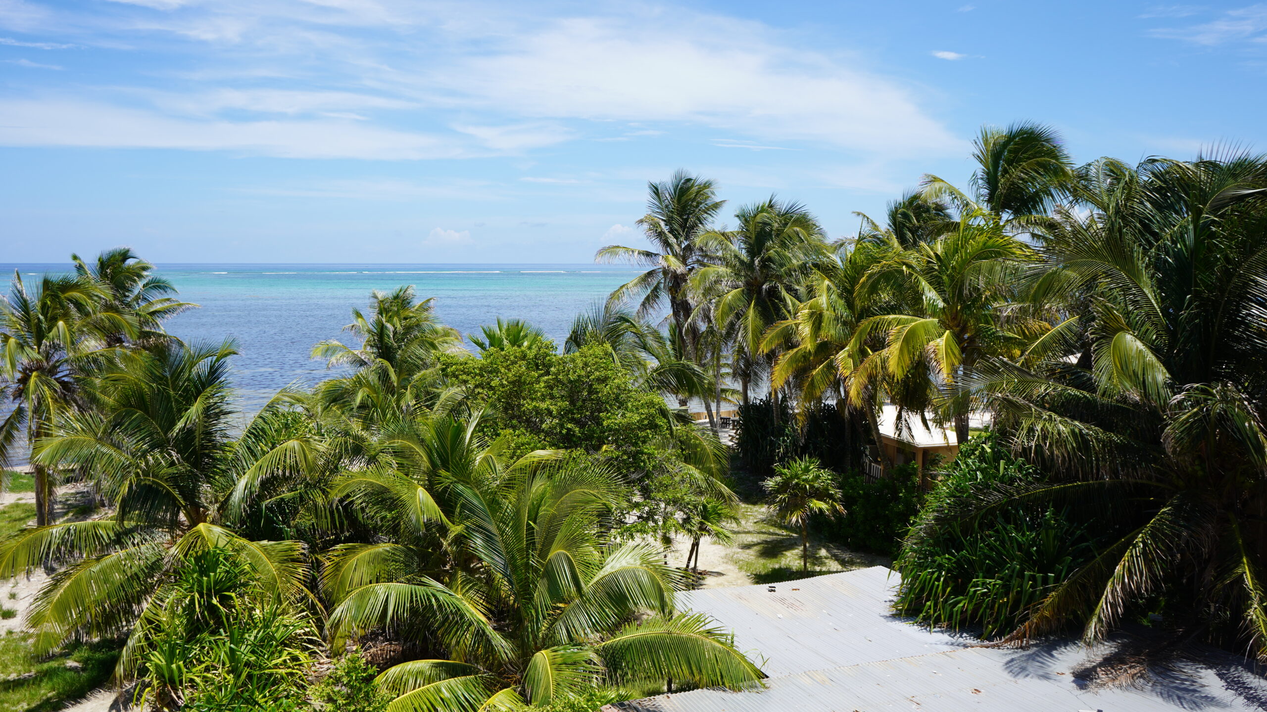 The Allure Of Ambergris Caye Belize : A Mini Travel Guide