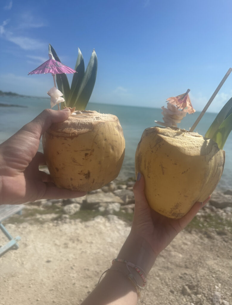 two-coconuts-with-umbreallas-in-front-of-tropical-sea