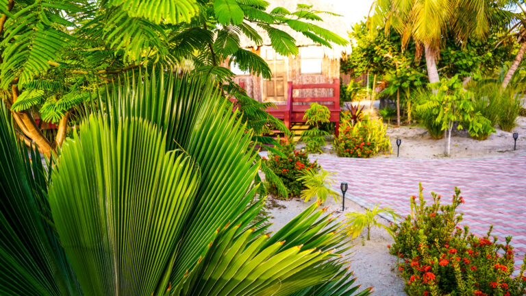 El Ben Cabañas Tropical Escape : Caye Caulker Resort Review