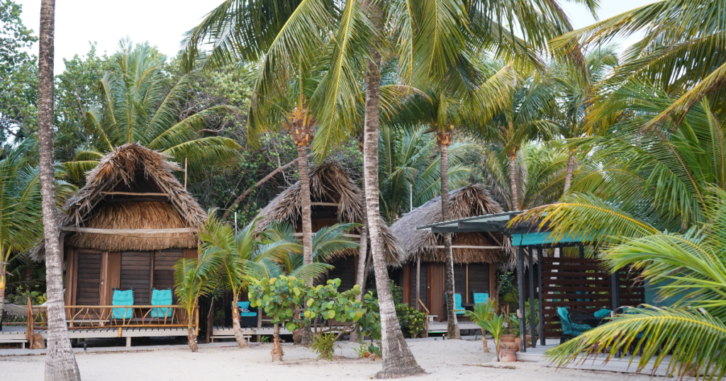 beach-cabanas-with-hatch-roofs-at-azure-del-mar-on-maya-beach-in-placencia-belize