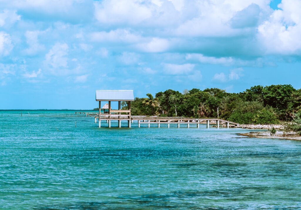 belize-dock-surrounded-by-palm-trees-overlooking-bright-caribbean-sea
