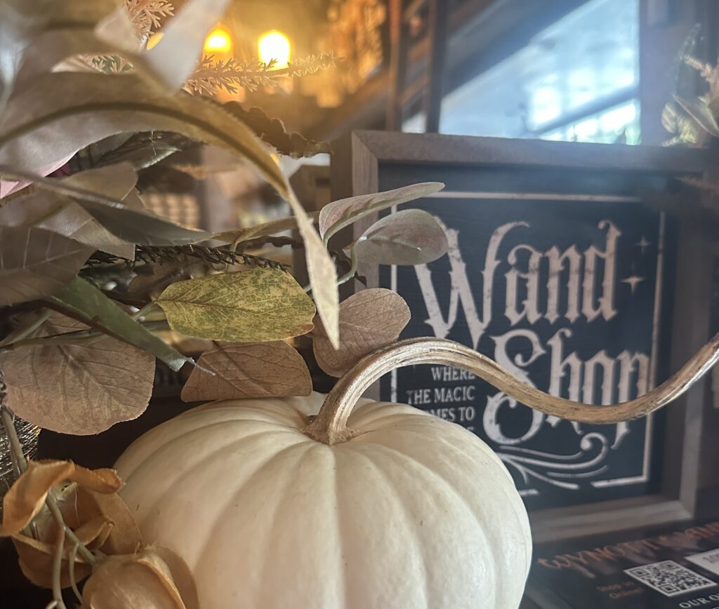 wand-shop-sign-with-white-pumpkin-decor-on-salem's-essex-street
