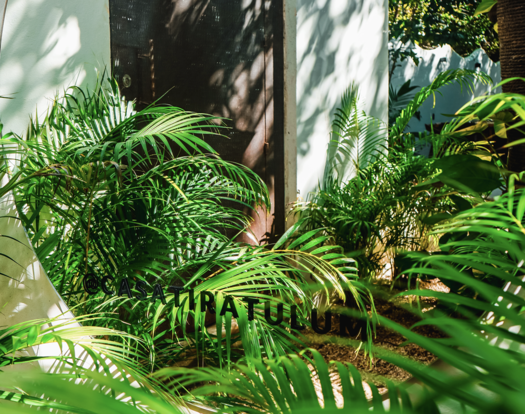 jungle-foliage-surrounding-mirror-saying-casa-tira-tulum