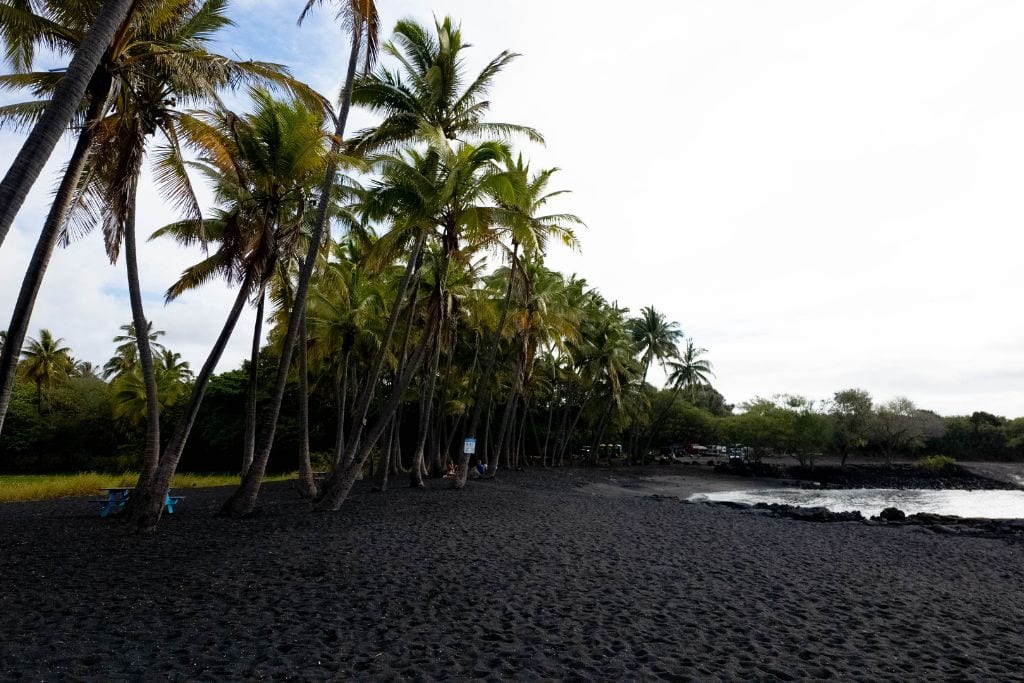 An empty black sand beach with palm trees lining the sand and calm ocean waves at the shoreline.