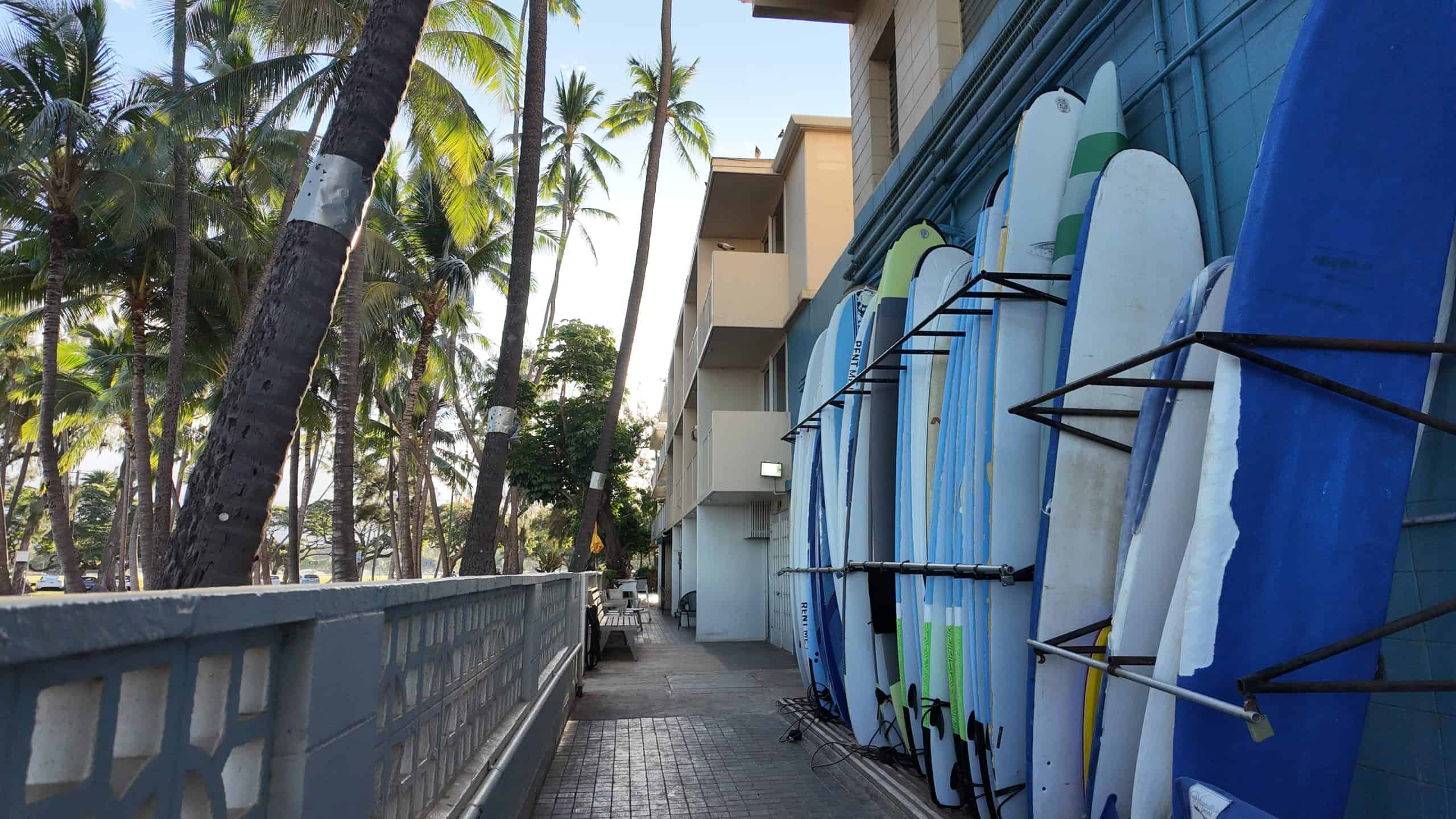 Row of surfboards stored along an outdoor wall beside palm trees and balconies.