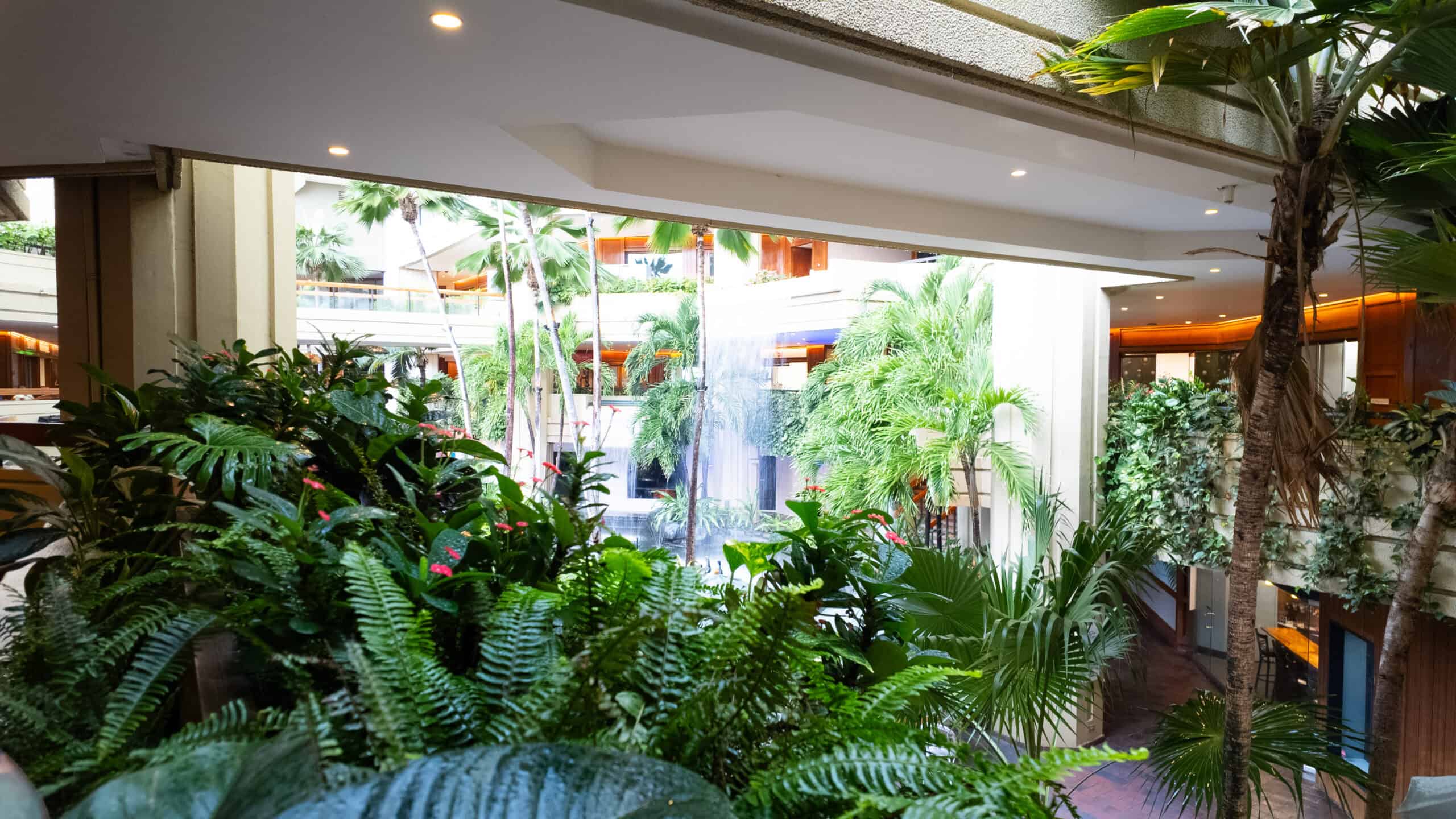 Tropical plants in the forefront with a large waterfall in the background near the lobby of Hyatt Regency Waikiki