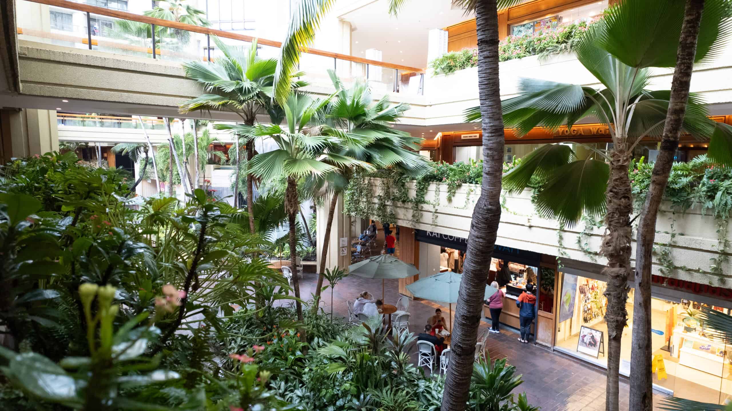 An atrium filled with tropical plants and a Kai Coffee shop with umbrellas sitting outside of it