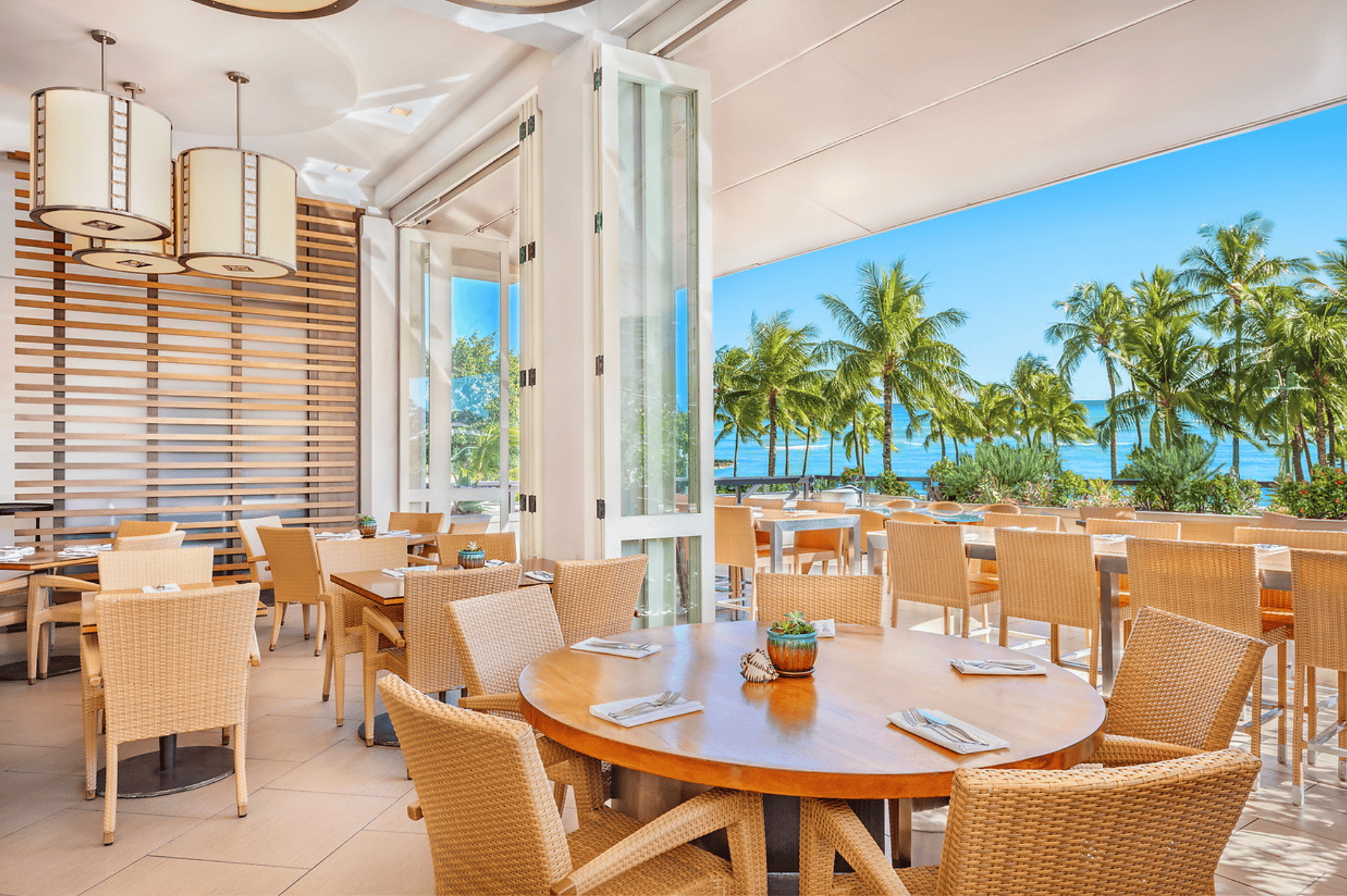 SHOR Restaurant patio dining with palm trees and the ocean in the background