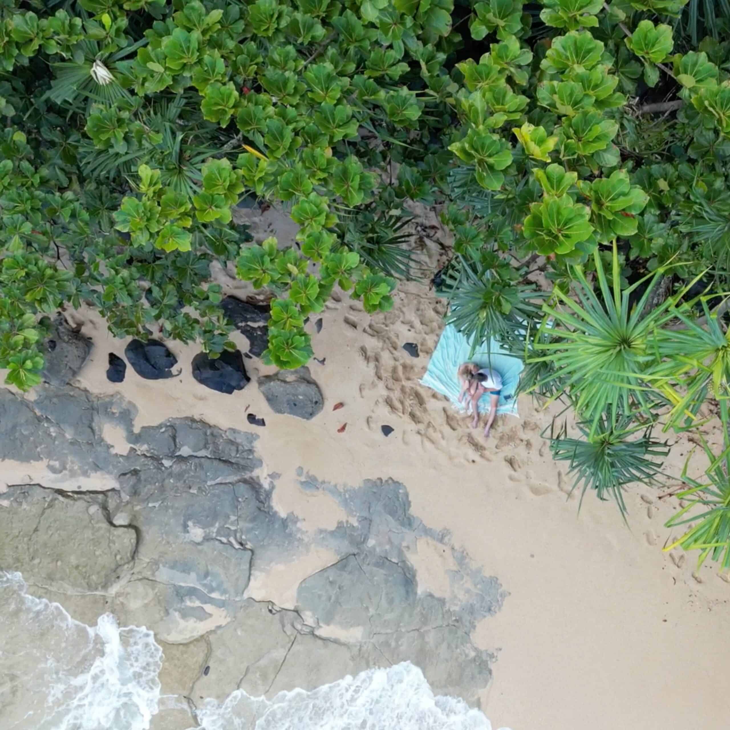A couple on a picnic blanket on the beach under some trees