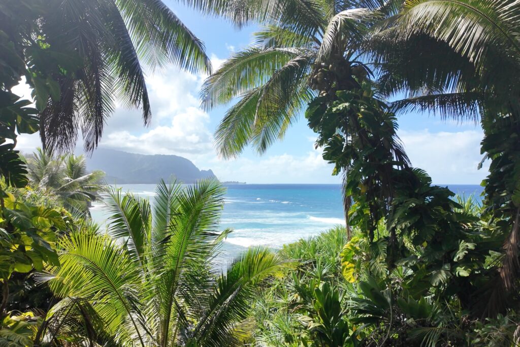 Looking out through dense tropical forest towards Hanalei Bay in Kauai Hawaii
