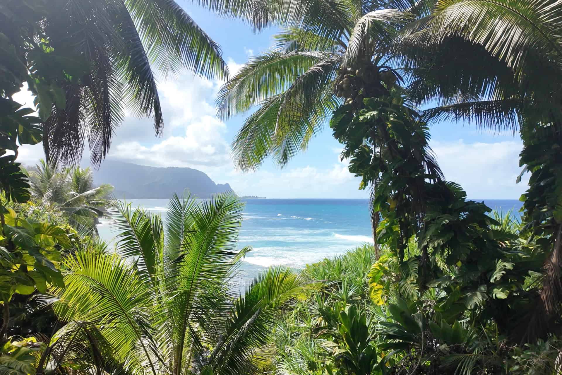 Looking out through dense tropical forest towards Hanalei Bay in Kauai Hawaii