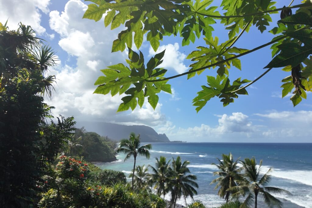Looking towards Hanalei Bay from Secret Beach in Kauai Hawaii