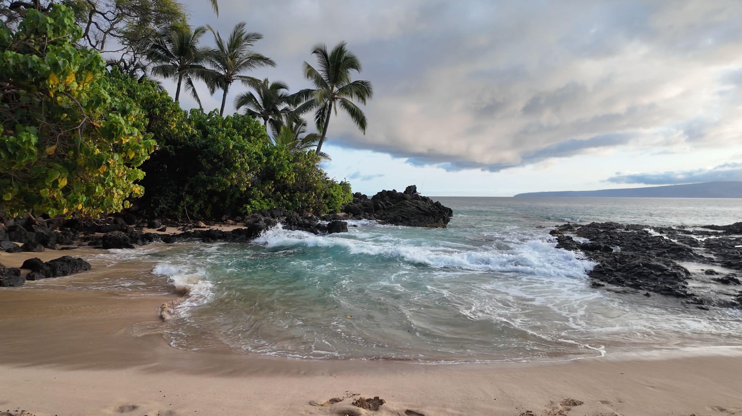 Secret Beach on Mauiʻs southern coast, at golden hour looking out to the ocean with palm trees in the background