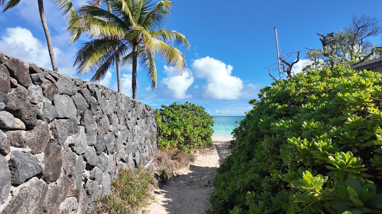 Walking down a sandy Lanikai Beach patch, towards the ocean with a rock wall and palm trees on either side