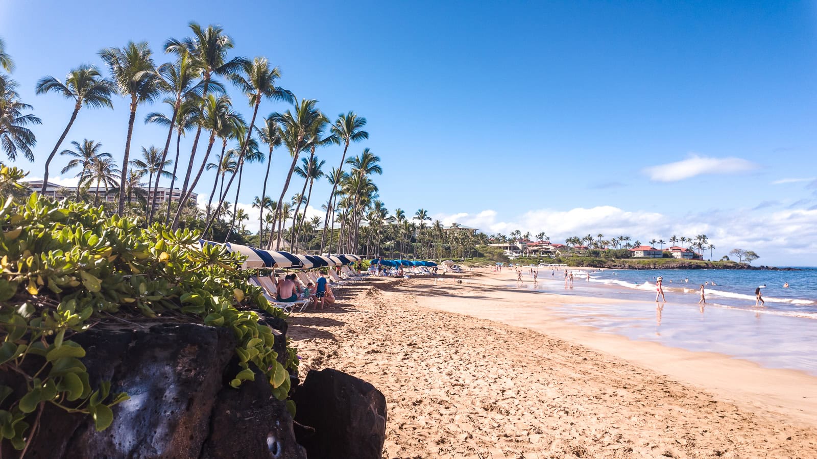 A sunny day on Wailea Beach in South Maui with blue and white striped umbrellas lining the coast and families playing on the beach