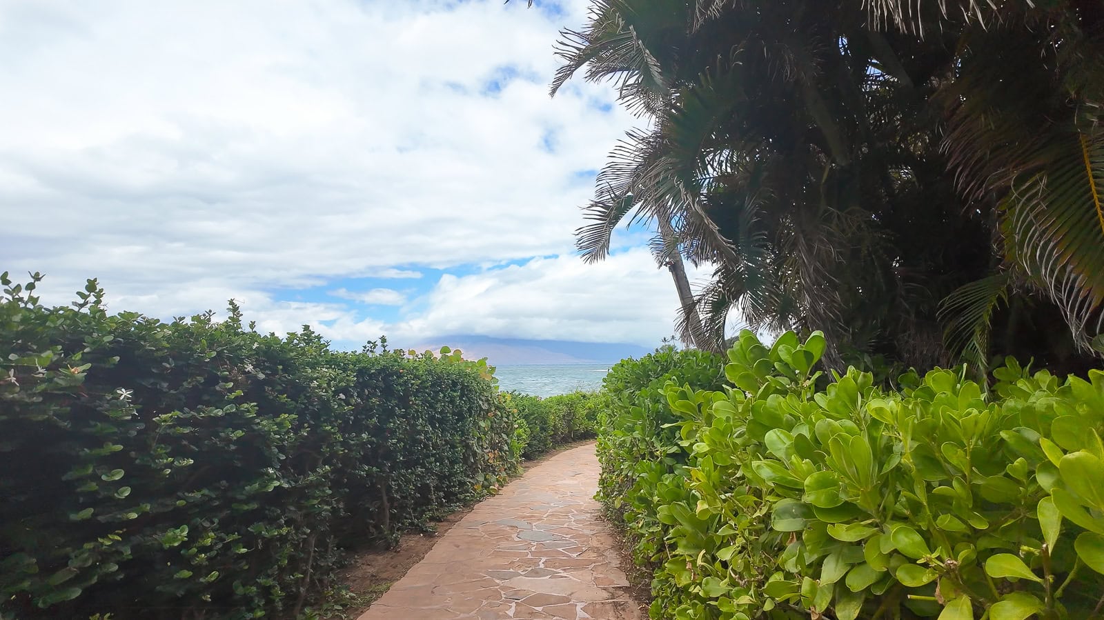 Walking down the Wailea Beach Path towards Wailea Beach on a cloudy day surrounded by palm trees