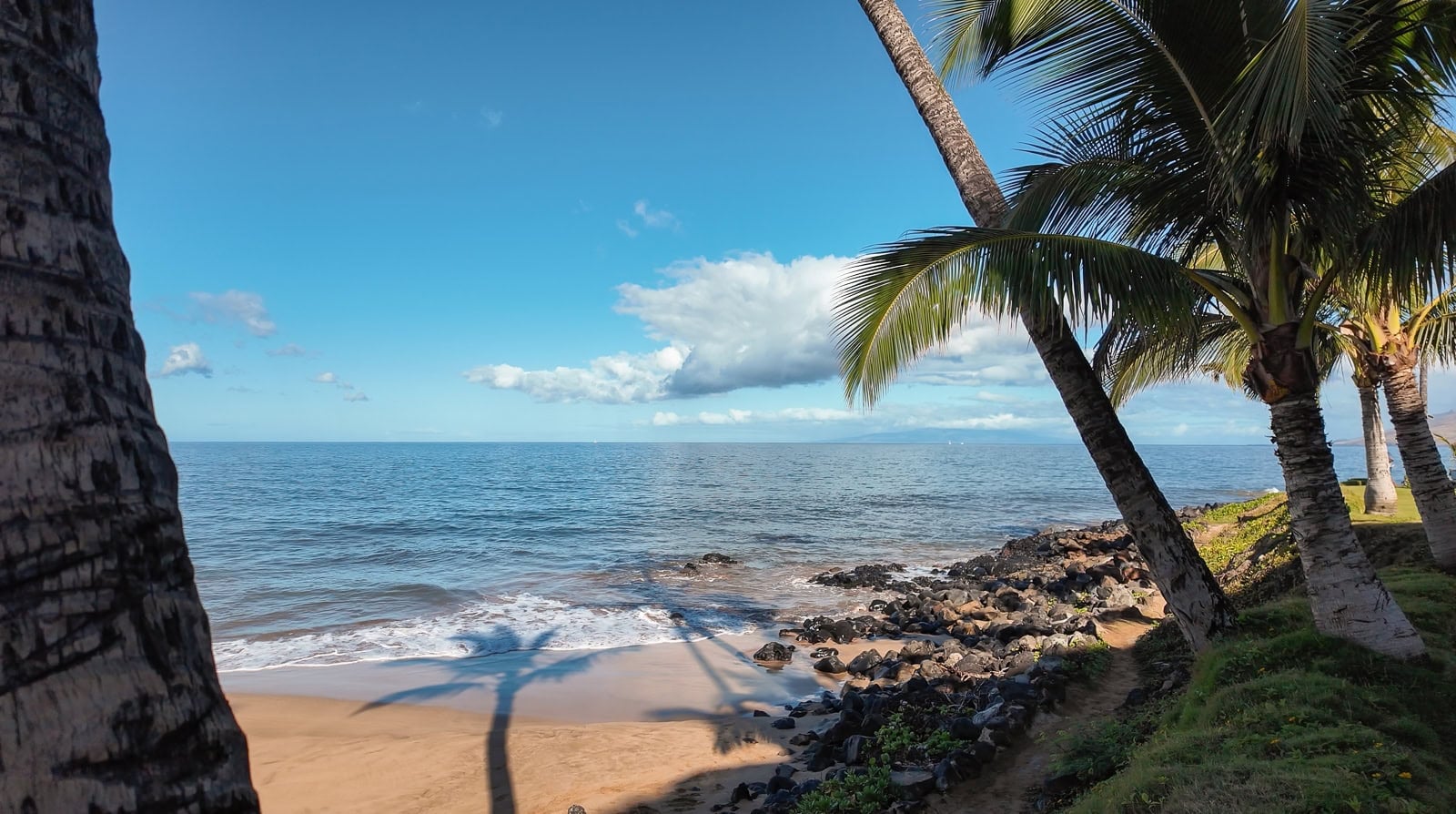 Looking out north on Kamaole Beach 2 in South Maui, with palm trees framing the calm ocean